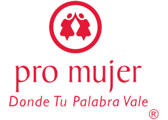 PROMUJER-LOGO
